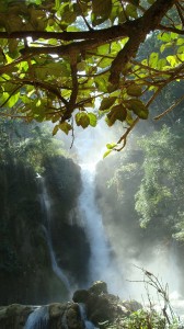 Laos, Luang Prabang, cascate di Kuang Si. Foto Marilia Albanese